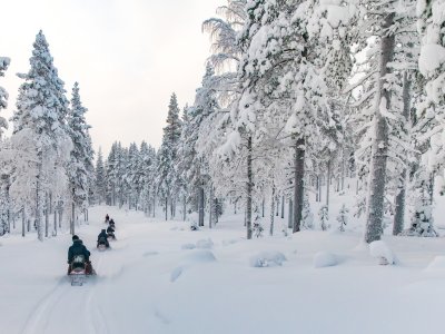 À travers les forêts d'épicéa !