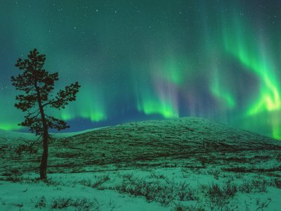 La meraviglia della natura notturna