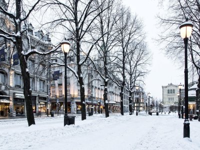 Rue piétonne d'Oslo !