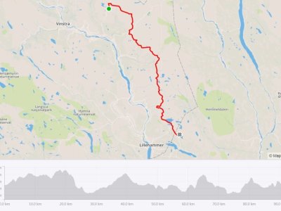Höhenprofil des 95 km Laufes