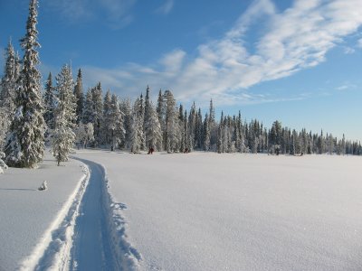 Beauté et silence !