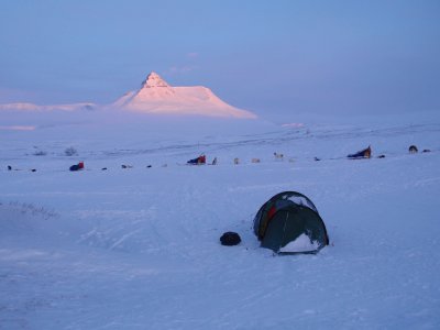 Les derniers rayons du soleil sur la neige de Laponie