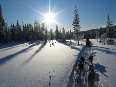 Von der Sonne verwöhnt