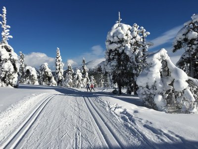 Des pistes parfaites à perte de vue