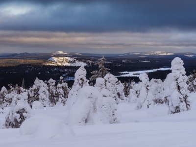 Paysage enneigé