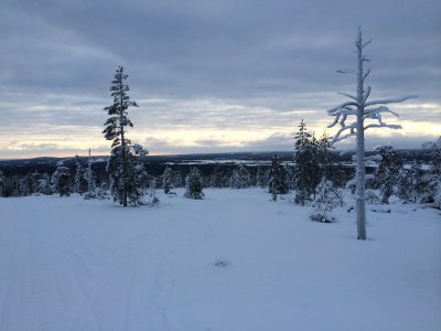 Paysage gelé