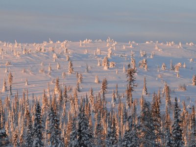 Winterzauber in Lappland