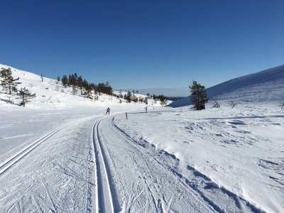 Den höchsten Punkt erreicht