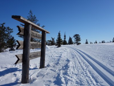 Les pistes de ski de fond sont super bien entretenues