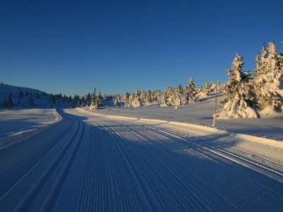 Morgens auf dem Plateau