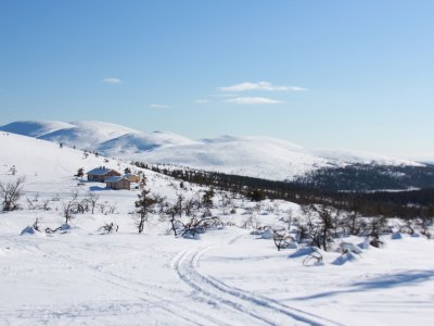 Frühlingserlebnis in Lappland