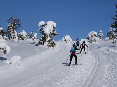 The last few metres
