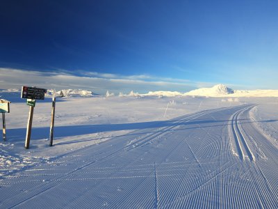 Loipe auch für Skater