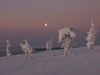 Der Mond lässt grüssen