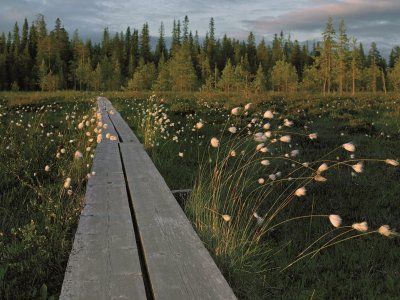 Unzählige Wanderwege