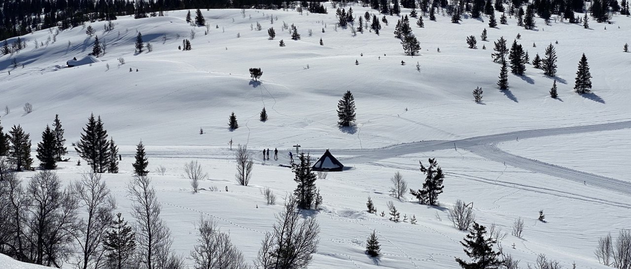 Grenzenlose Natur