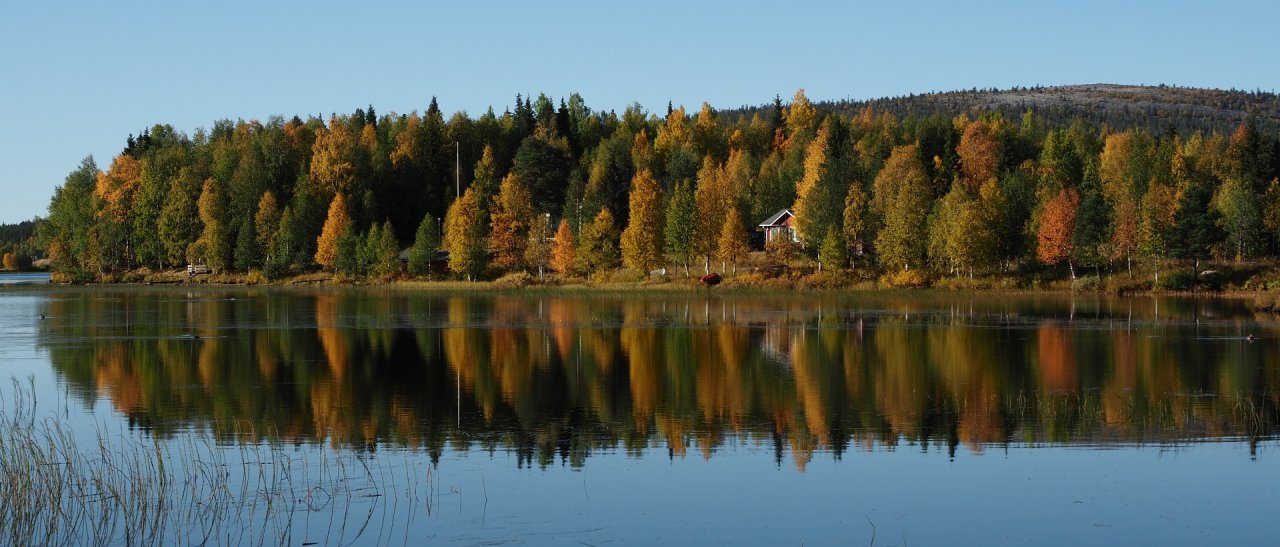 Herbstspiegel