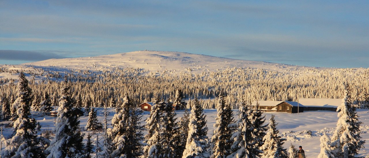 Grösstes Loipensystem Norwegens