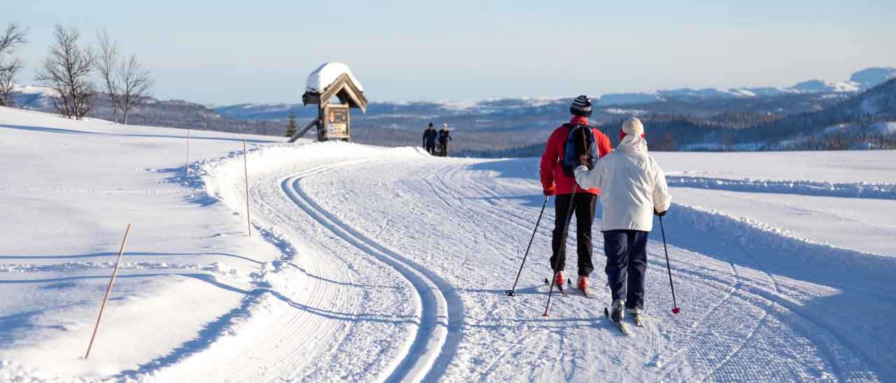 Norwegischer Loipentraum
