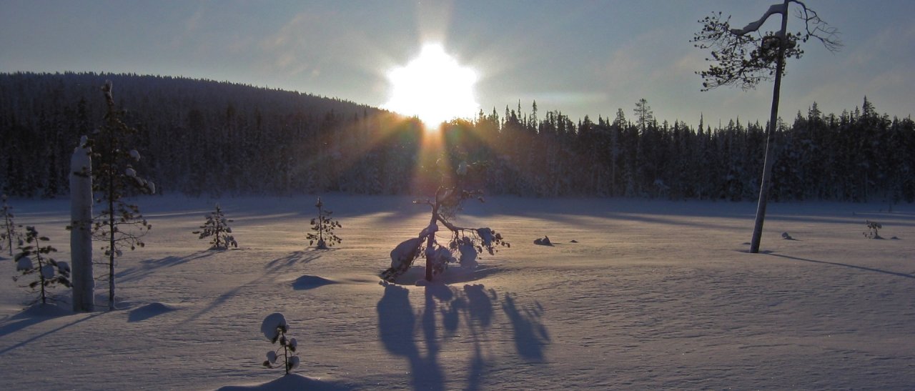 Sonnenuntergang Lappland