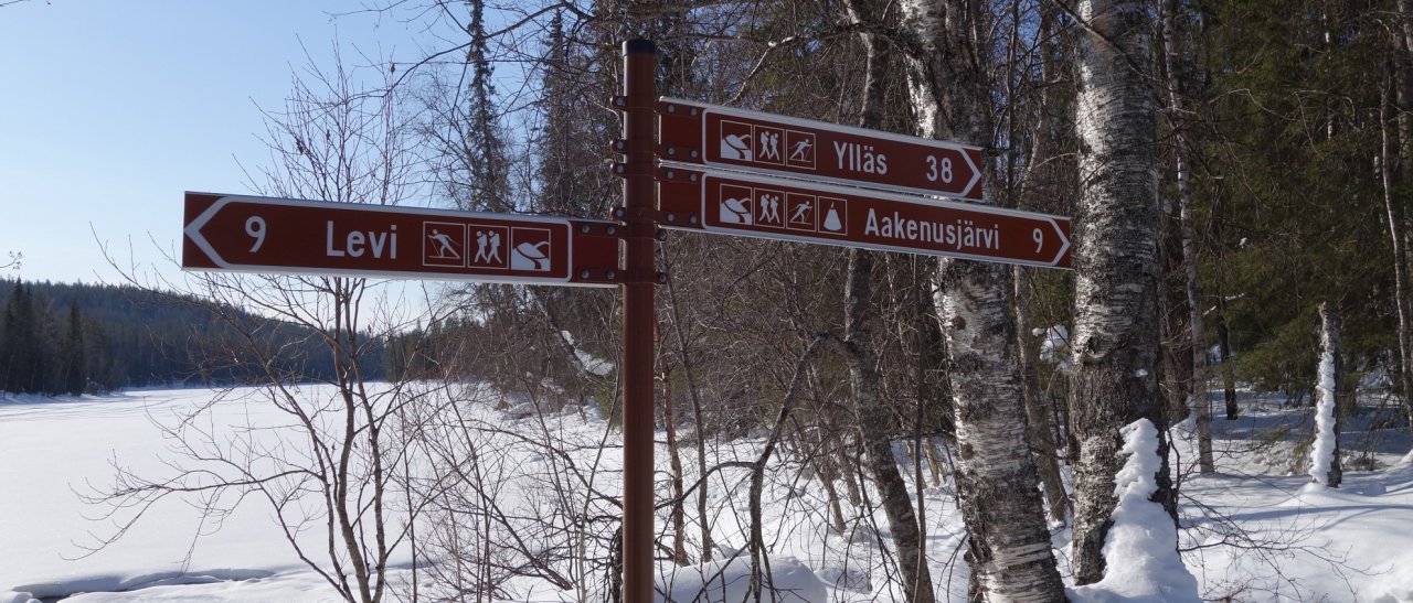 Noch nicht in der Wildnis