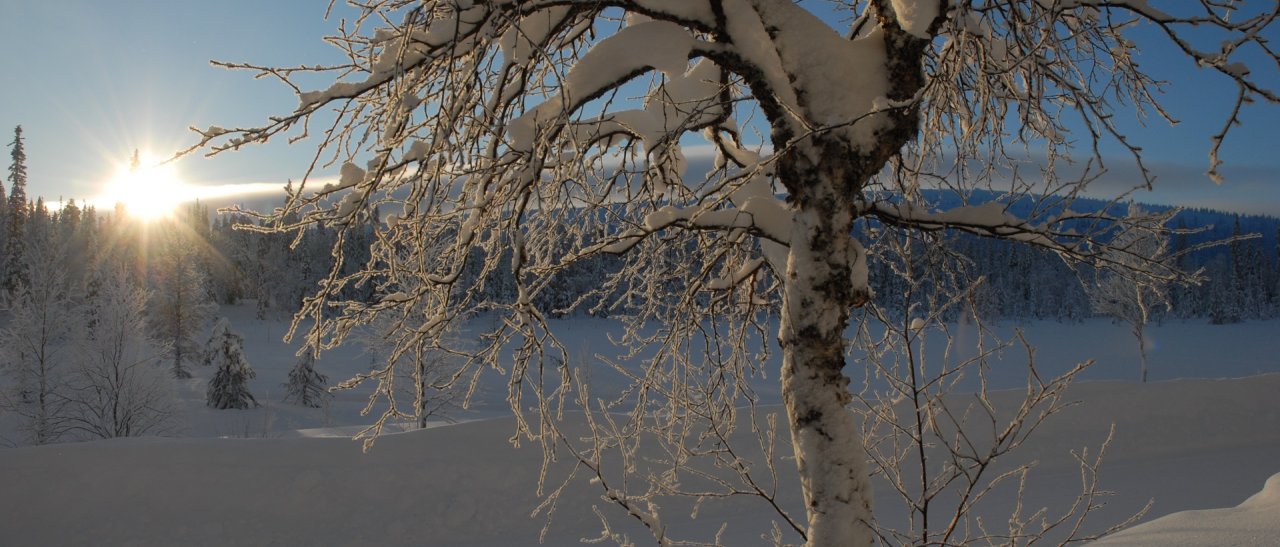 Winterwunderland