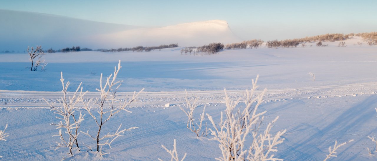 Im perfekten Winter