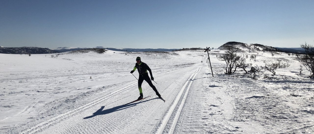 Sur les hauts de Tändalen !