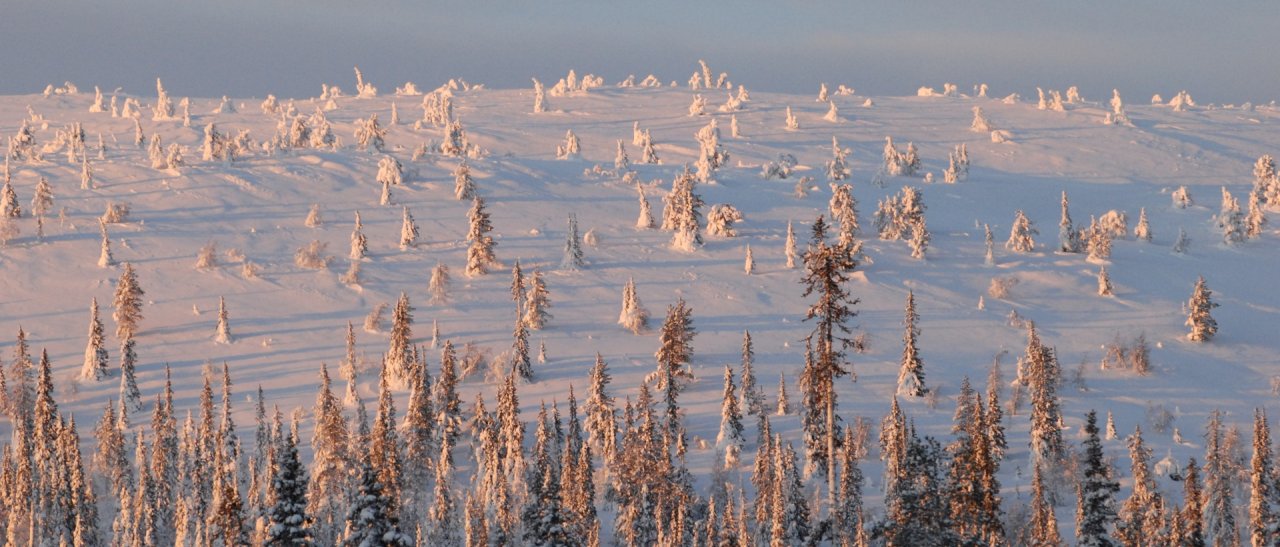 Winterzauber in Lappland