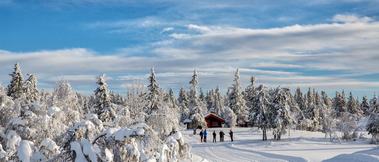 In the fjells of Nordesetter