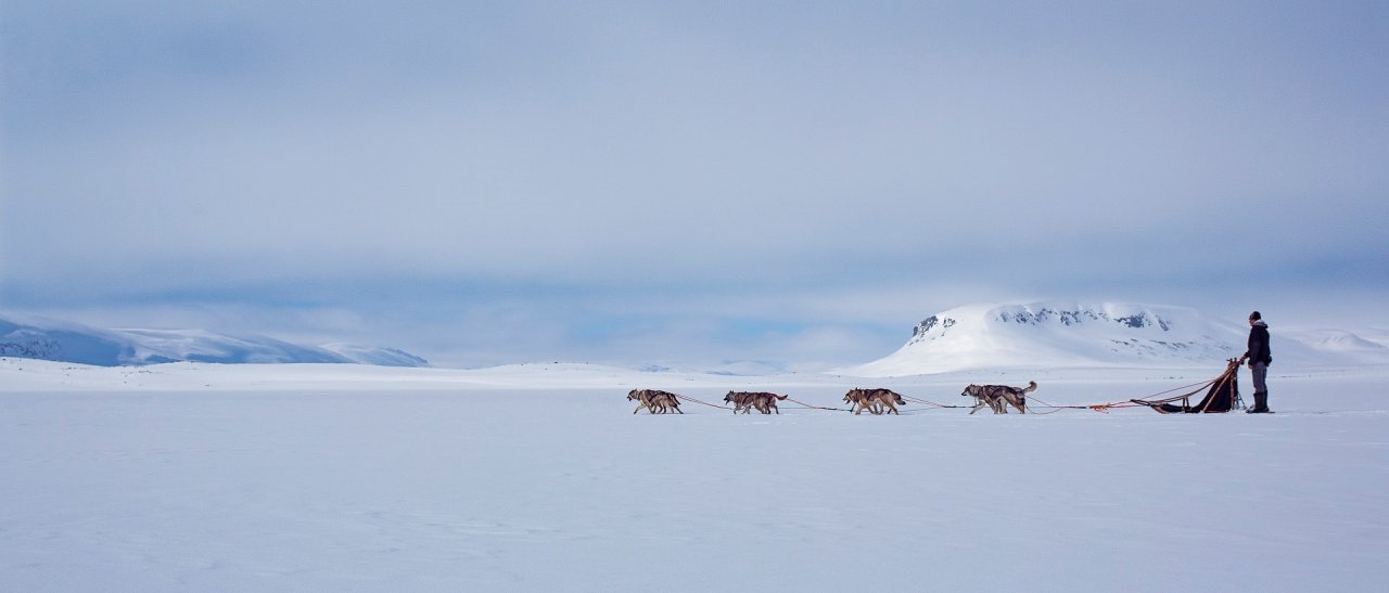 Arctic Feeling