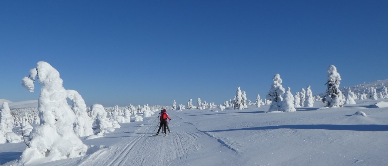 Richtung Tundra