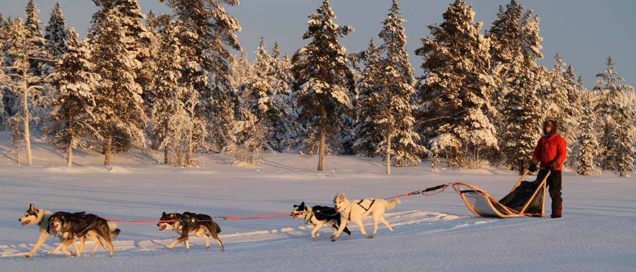 Une traversée avec des huskys