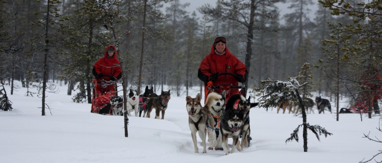 Huskyspass Finnland
