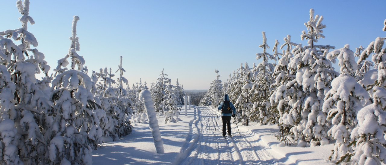 Auf Klassischski die Wälder geniessen