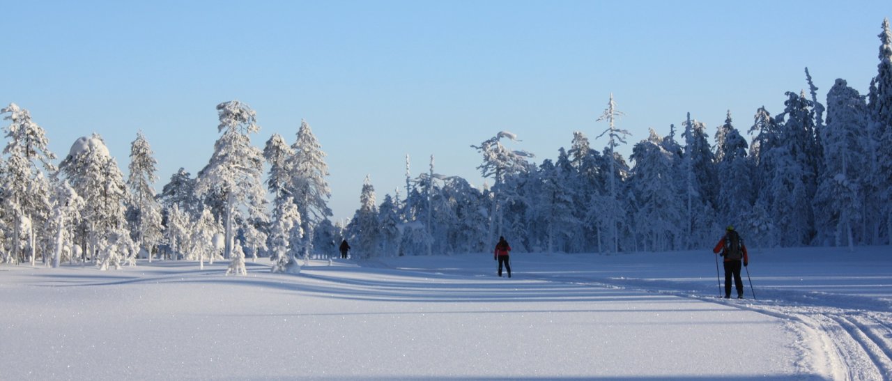Unberührte Schnee- und Eislandschaft