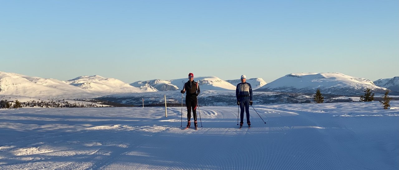 Plateau des Golsfjellet