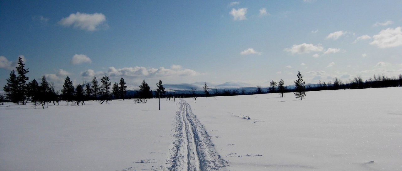 Loipe in den Horizont