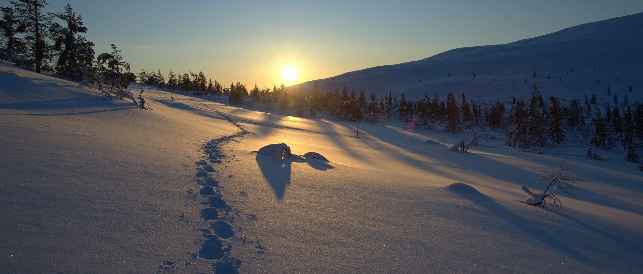 Sonnenuntergang im Schnee