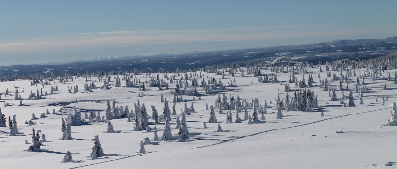 Langlaufen Nordseter