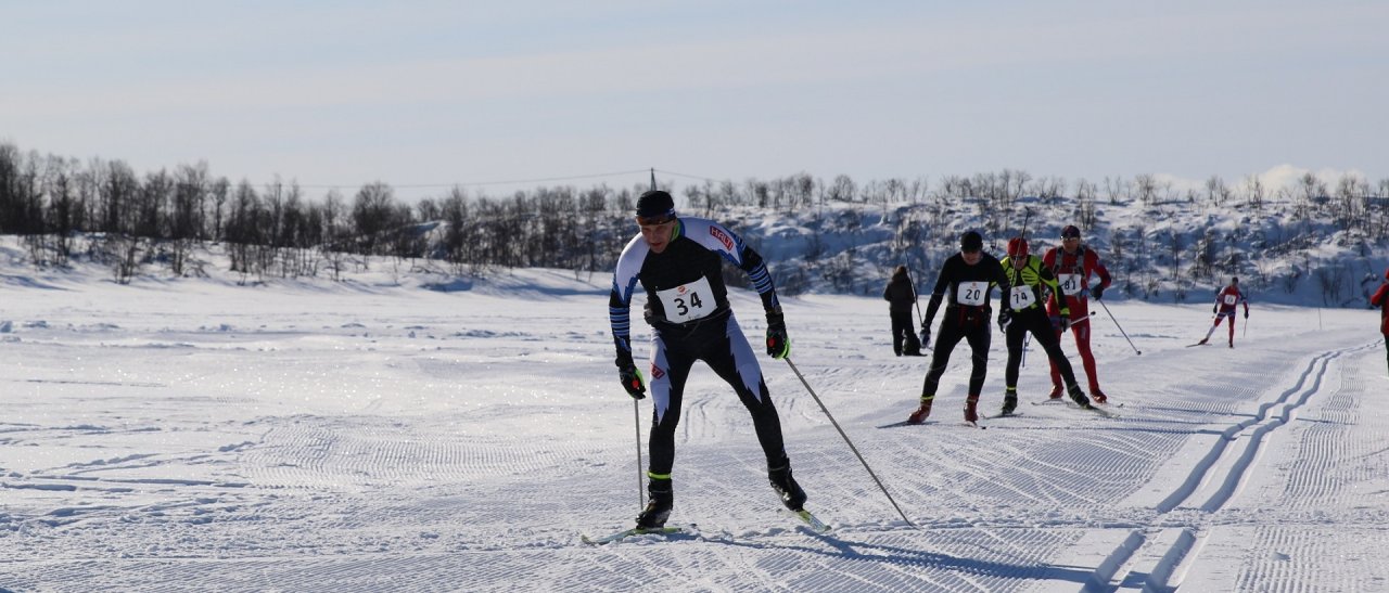 A travers la Tundra