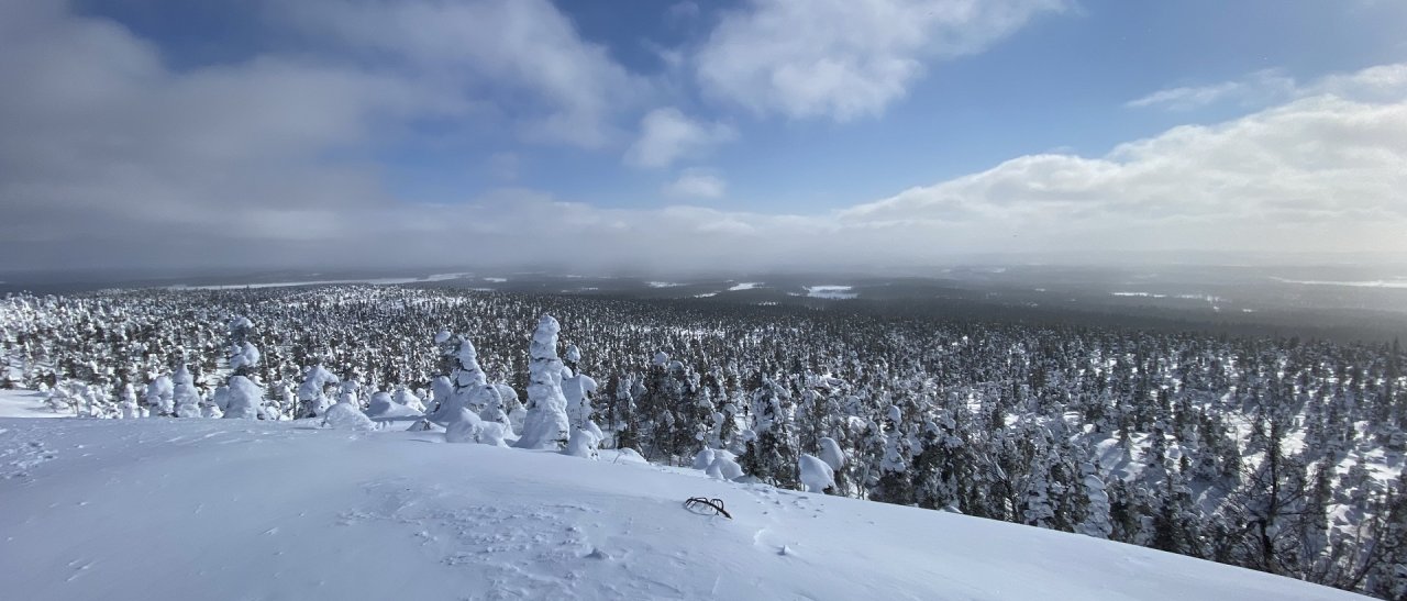 Lapplands Hügellandschaft