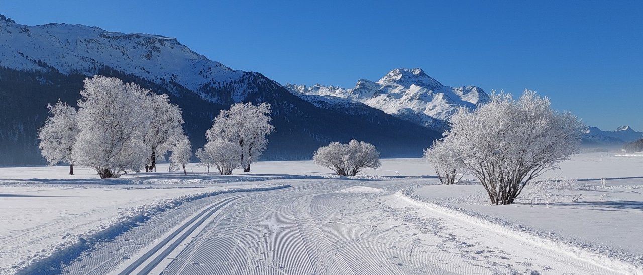 Silvaplanersee