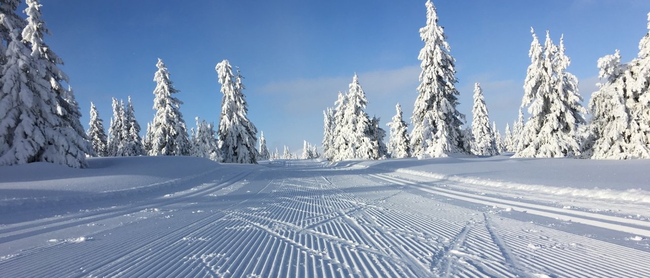 Langlaufparadies Lillehammer/Sjusjøn 