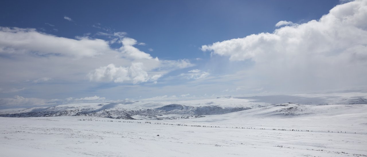 Skarverennet Naturhöhepunkte