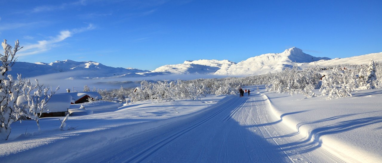 220 Kilometer Loipe