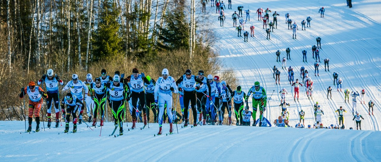 Elitefeld kurz nach dem Start