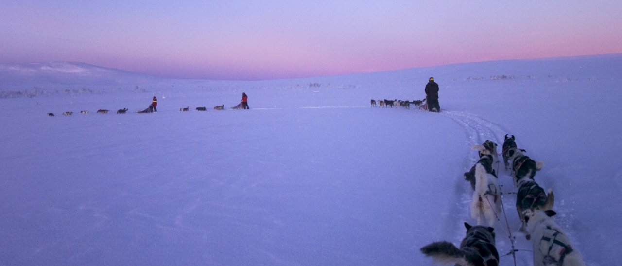 Abendtour durch schwedische Hochfjell
