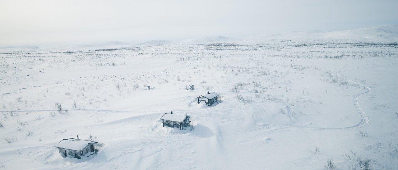 Tundra bei Kilpisjärvi