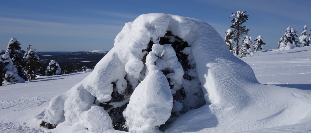 Bizarre Schneeskulpturen